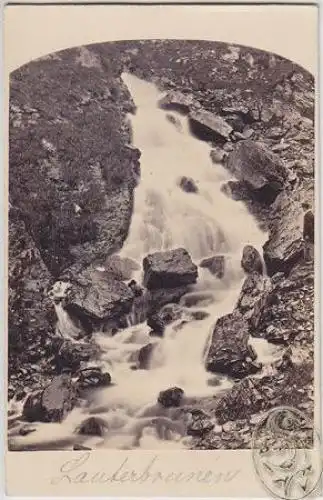 Lauterbrunnen.Casconle dans la vallée le... 1880