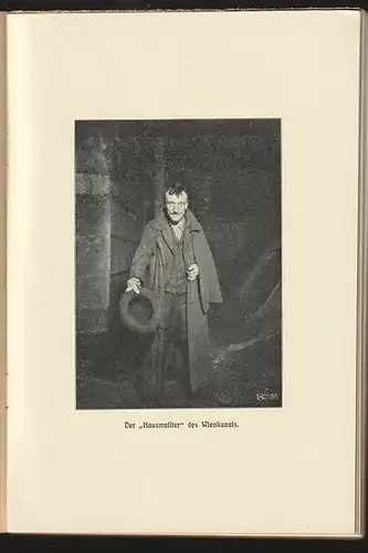 Durch die Wiener Quartiere des Elends und Verbrechens. Ein Wanderbuch aus dem Je