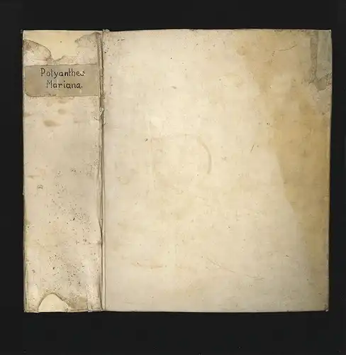 Polyanthea Mariana.  In Qua Libris Octodecim Deiparæ Mariæ Virginis Sanctissima