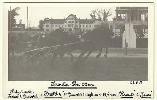 [Pferderennen]: Hermelin-Preis 2200 m. Hedy Marek`s "Herold A" ) P. Ehrenreich) 