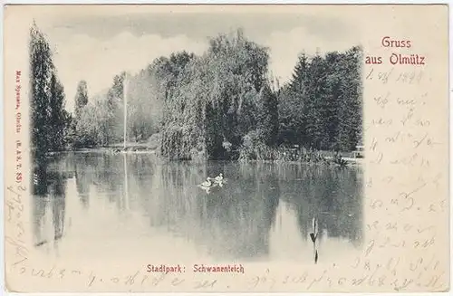 Gruss aus Olmütz. Stadtpark: Schwanenteich. 1890