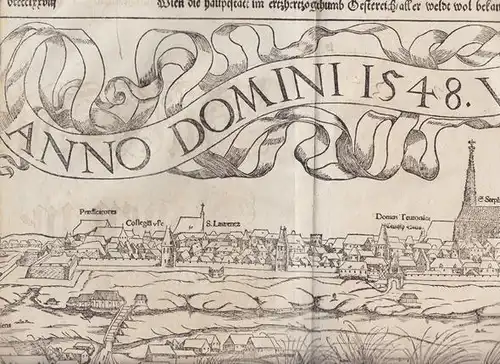 Wien die hauptstatt im ertzherzogthumb... 1580