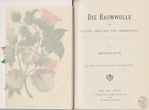 Die Baumwolle. Ihre Cultur, Structur und Verbreitung. KUHN, Heinrich.