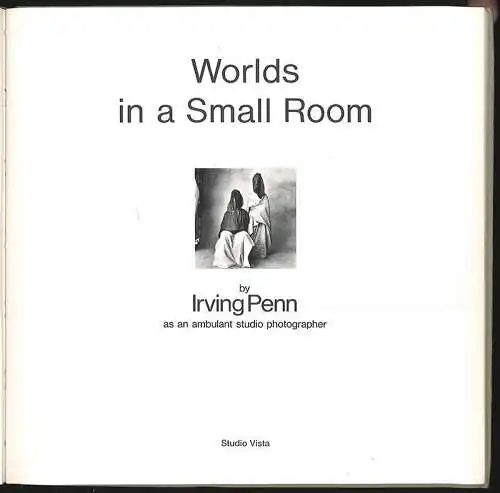 Worlds in a Small Room. PENN, Irving.