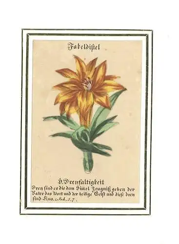 Fakeldistel. H. Dreyfaltigkeit. Drey sind es die dem Him(m)el Zeugniß geben der 