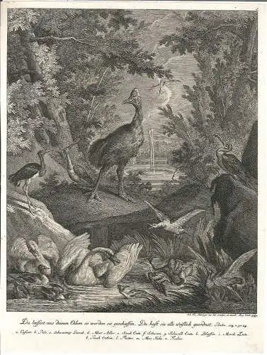 Du laessest aus deinen Odem so werden sie geschaffen. Du hast sie alle weislich 