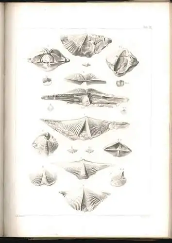 Illustrations to the Geological Report of Wisconsin, Iowa, and Minnesota. OWEN, 
