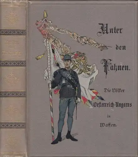 Unter den Fahnen. Die Völker Österreich-Ungarns in Waffen. DANZER. Alfons.