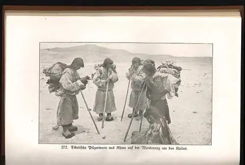 Transhimalaja. Entdeckungen und Abenteuer in Tibet. HEDIN, Sven. 0484-19