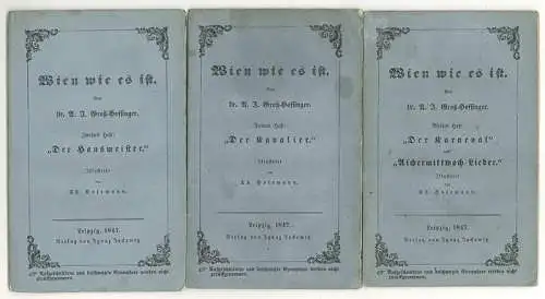 Wien wie es ist. GROSS-HOFFINGER, A.J. 0918-22