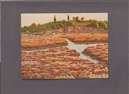 Auf Brioni. 10 Studien. GROEGER, Gustav.