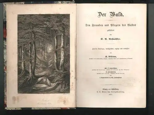 Der Wald. Den Freunden und Pflegern des Waldes geschildert. ROSSMÖSSLER, E[mil] 