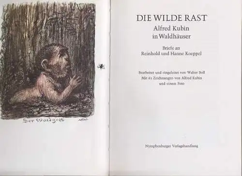 Die wilde Rast. Alfred Kubin in Waldhäuser. Briefe an Reinhold und Hanne Koeppel