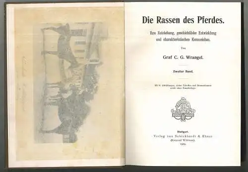 Die Rassen des Pferdes. Ihre Entstehung, geschichtliche Entwicklung und  1908-24