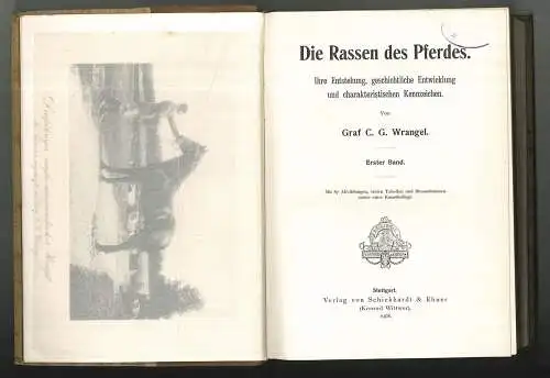 Die Rassen des Pferdes. Ihre Entstehung, geschichtliche Entwicklung und charakte