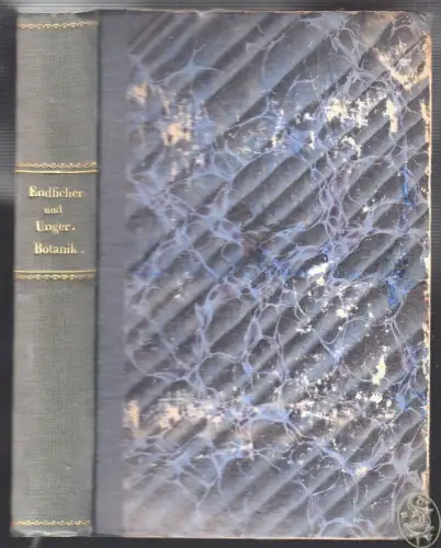 Grundzüge der Botanik. ENDLICHER, Stephan. - UNGER, Franz.