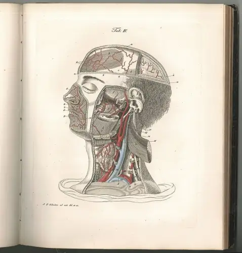 Encyclopädie der menschlichen Anatomie. RICHTER, Th(eodor).