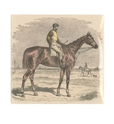 Rennpferd. 1/24 natürl. Größe. CAMPHAUSEN, W[ilhelm].