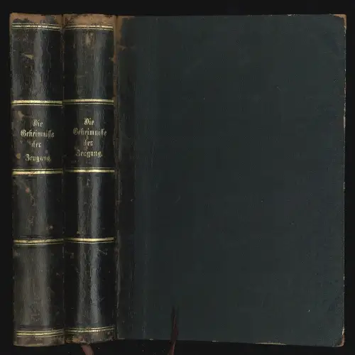 Die Geheimnisse der Zeugung und das Geschlechtsleben des Menschen. Umgearbeitet 