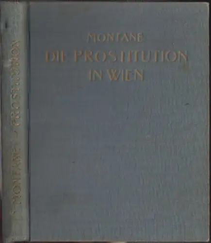 Die Prostitution in Wien. Ihre Geschichte und Entwicklung von den Anfängen bis z