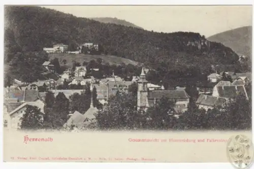 Herrenalb. Gesammtansicht mit Hummelsburg und Falkenstein.