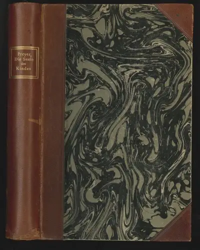 Die Seele des Kindes. Beobachtungen über die geistige Entwicklung des Menschen i