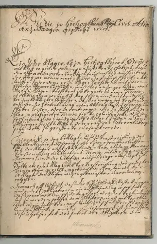 Wie die in Hertzogthumb Steyr Civil-Action anzufangen gepflegt wird.