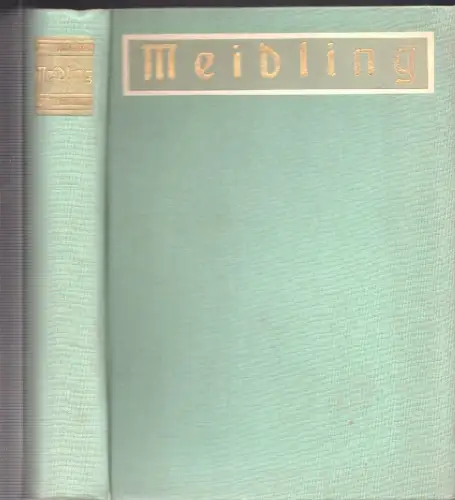 Meidling. Der 12. Wiener Gemeindebezirk in Vergangenheit und Gegenwart. Herausge