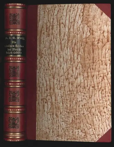 Die kleinen Leiden des menschlichen Lebens. Von Plinius dem Jüngsten. PLINIUS de