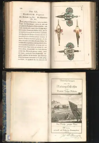 Unterhaltungen aus der Naturgeschichte. [WILHELM, Gottlieb Tobias].