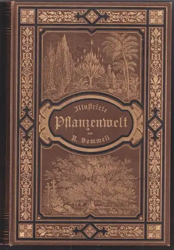 Die Pflanzenwelt. Das Wissenswertheste aus dem Gebiete der allgemeinen und spezi