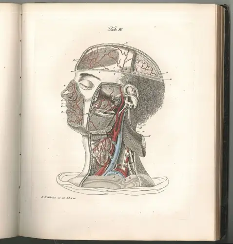 Encyclopädie der menschlichen Anatomie. RICHTER, Th(eodor).