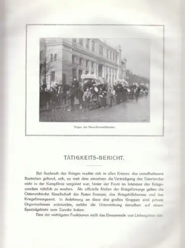 Tätigkeits-Bericht des Haus-Sammeldienstes über... 1915