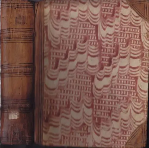 PHILIPPUS DIEZ LUSITANUS., Super Evangelia,... 1614