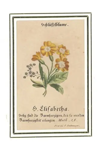 Schlüsselblume. H. Elisabetha. Selig sind die Barmherzigen, den(n) sie werden Ba