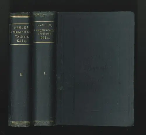 A Magyar nemzet története az árpádházi királyok alatt. PAULER, Gyula.