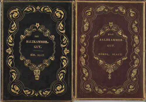 Das Salzkammergut in Ober Oesterreich Sr. Excellenz dem Herrn Staats und Confere