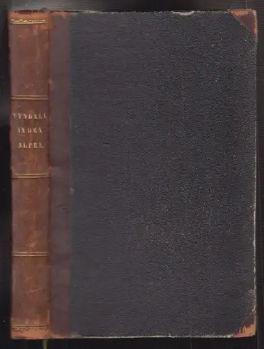 In den Alpen. Autorisierte deutsche Ausgabe. Mit einem Vorwort von Gustav Wiedem