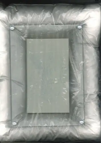 Marginalien. Irische Gedichte aus dem Mittelalter nachgedichtet von Raoul Schrot