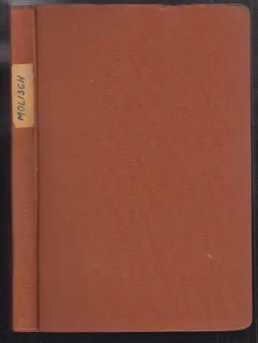 Die sudetendeutsche Freiheitsbewegung in den Jahren 1918/1919. MOLISCH, Paul.