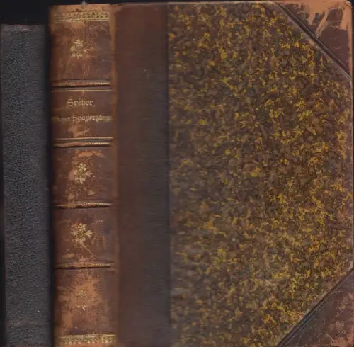 Wiener Spaziergänge. Dritte Sammlung [Und:] Sechste Sammlung. SPITZER, D(aniel).