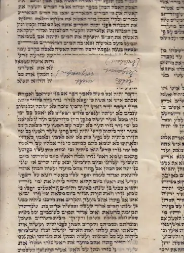 Orig.-Manuskript aus Exodus. 1800