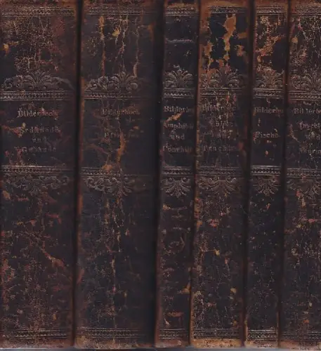 BERTUCH, Bilderbuch zum Nutzen und Vergnügen... 1790