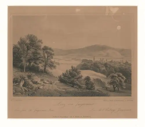 Linz vom Jägermair. FISCHBACH, Johann.