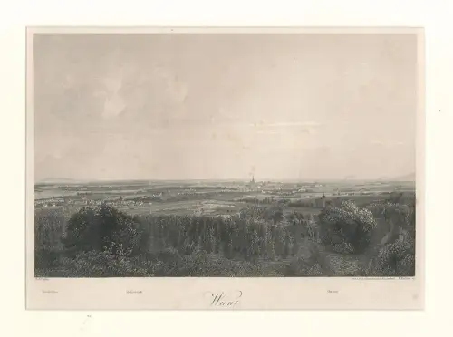 Wien, Taborbrücken - Heiligenstadt - Grinzing. ALT, Rudolf von. (1812-1905). - R