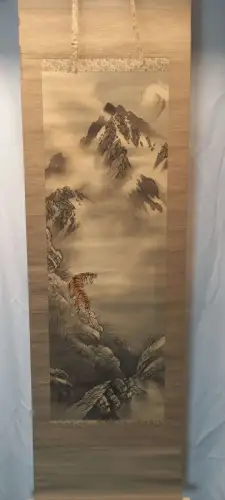 Mountain landscape with tiger.