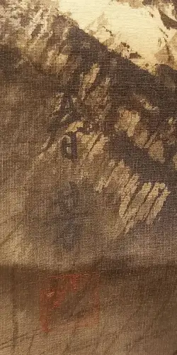 Mountain landscape with tiger.