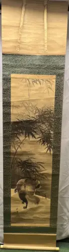 Raccoon [Tanuki] in bamboo landscape.