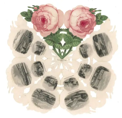 [Rose von Wien und Umgebungen].