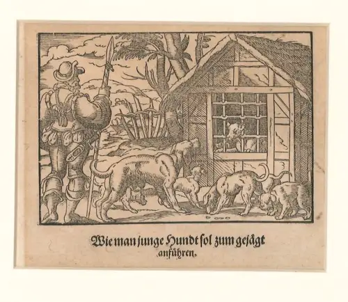 Wie man junge Hundt sol zum gejägt anführen. AMMAN, Jost.